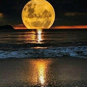 Meet your Posher, Devon